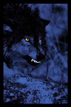 #7  Wolf Führer Maggot